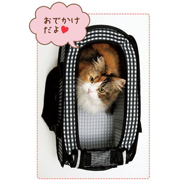 (まとめ) 〔12セット〕 ポータブルキャリー 猫用 折りたたみ式 軽量 キャリーバッグ キャリーケース ペット用品 |  | 04