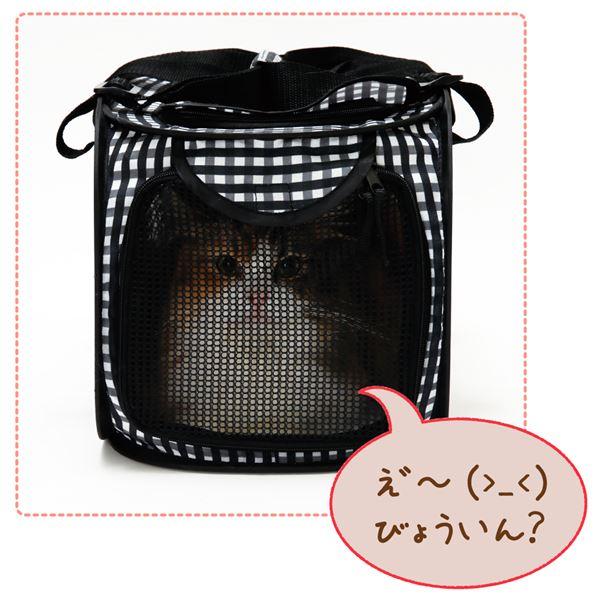 (まとめ) 〔12セット〕 ポータブルキャリー 猫用 折りたたみ式 軽量 キャリーバッグ キャリーケース ペット用品 |  | 05