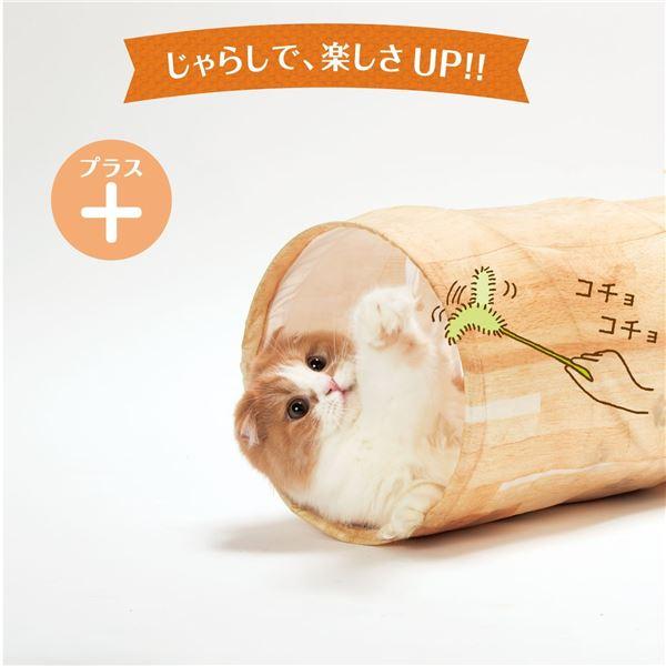（まとめ）キャットトンネルスパイラル 木目柄（ペット用品）〔×12セット〕 |  | 04