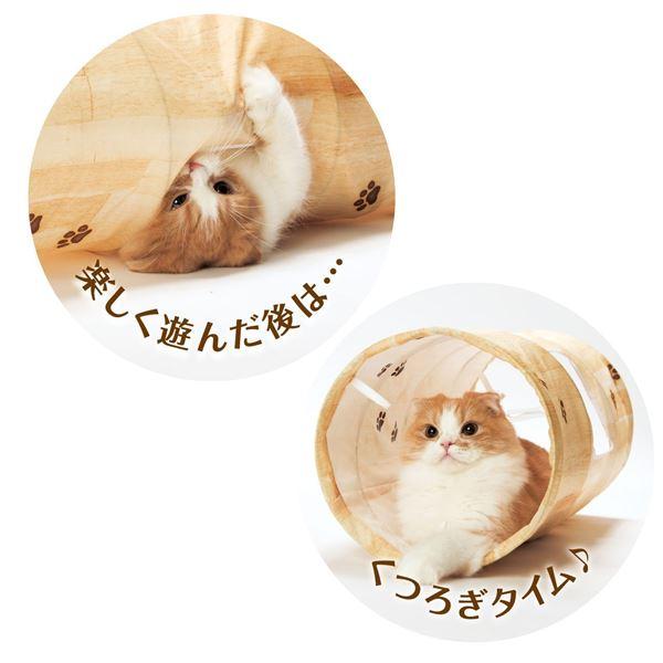 （まとめ）キャットトンネルスパイラル 木目柄（ペット用品）〔×12セット〕 |  | 05