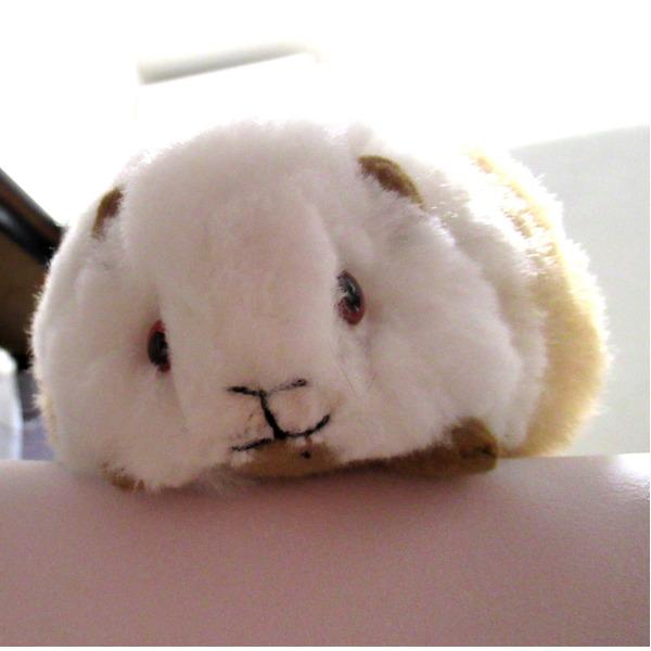〔ほったらかしペット〕クイ（テンジクネズミ）の形 ふわふわ ぬいぐるみ マルチカラー アルパカ毛100% |  | 05