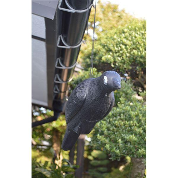 防鳥器具 全長約49cm 大型 軽量 プラスチック製 丈夫 カラス防御 大型カラス 害鳥対策用品 ゴミ置き場 田畑 菜園 ベランダ |  | 03
