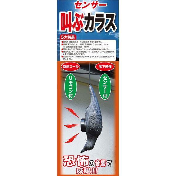 センサー式 防鳥器具 幅15.5cm 操作距離約8〜10m 電源 音響調節 リモコン付き 簡単操作 叫ぶ カラス 害鳥対策用品 |  | 01