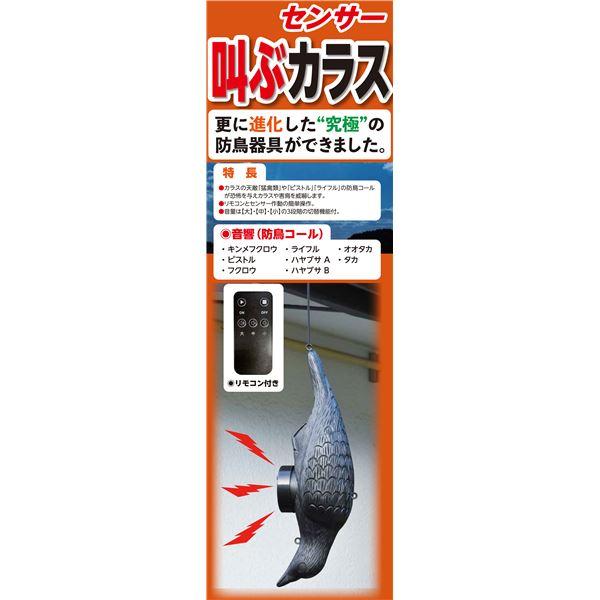 センサー式 防鳥器具 幅15.5cm 操作距離約8〜10m 電源 音響調節 リモコン付き 簡単操作 叫ぶ カラス 害鳥対策用品 |  | 02