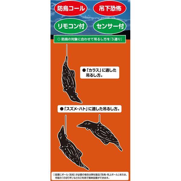 センサー式 防鳥器具 幅15.5cm 操作距離約8〜10m 電源 音響調節 リモコン付き 簡単操作 叫ぶ カラス 害鳥対策用品 |  | 03
