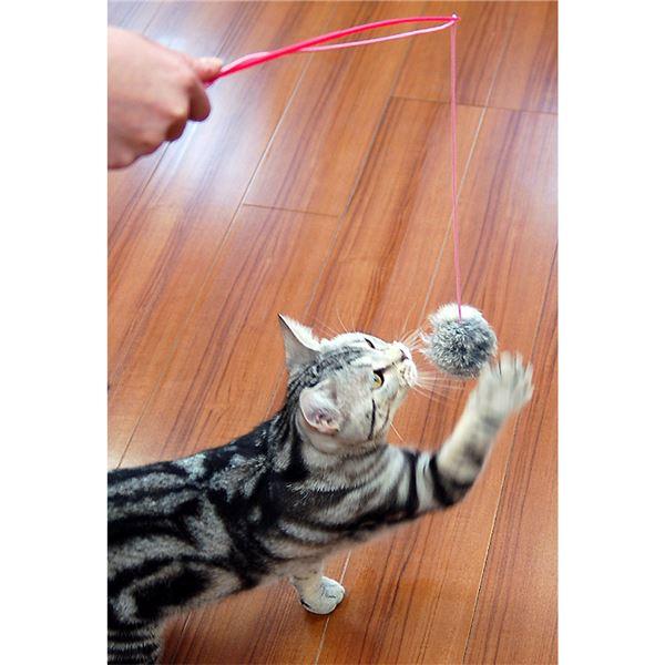 （まとめ）キャティーマンじゃれ猫 ファーファー〔×12セット〕 |  | 02