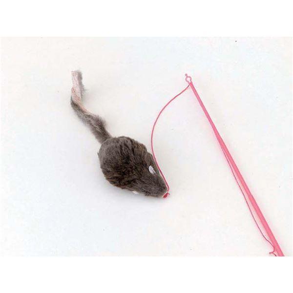 （まとめ）キャティーマンじゃれ猫 チューチュー〔×12セット〕 |  | 01