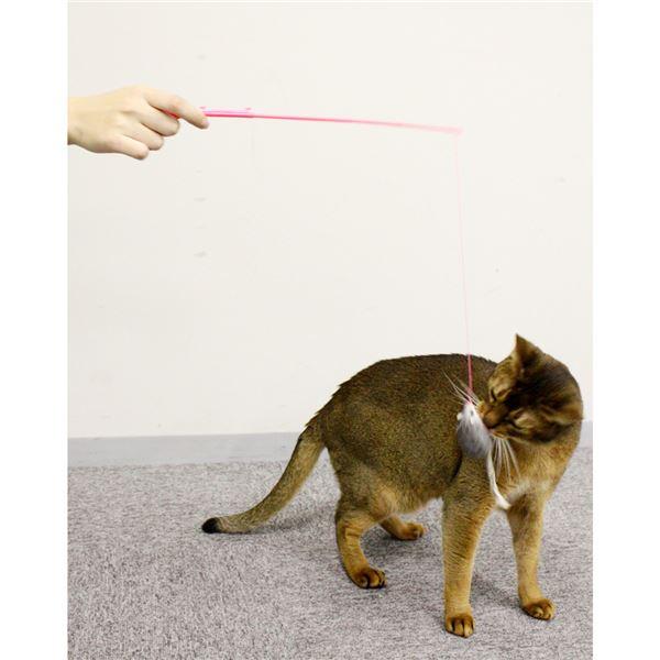 （まとめ）キャティーマンじゃれ猫 チューチュー〔×12セット〕 |  | 02