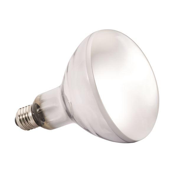 ソーラーグローUV 125W PT2192 （ペット用品） |  | 01