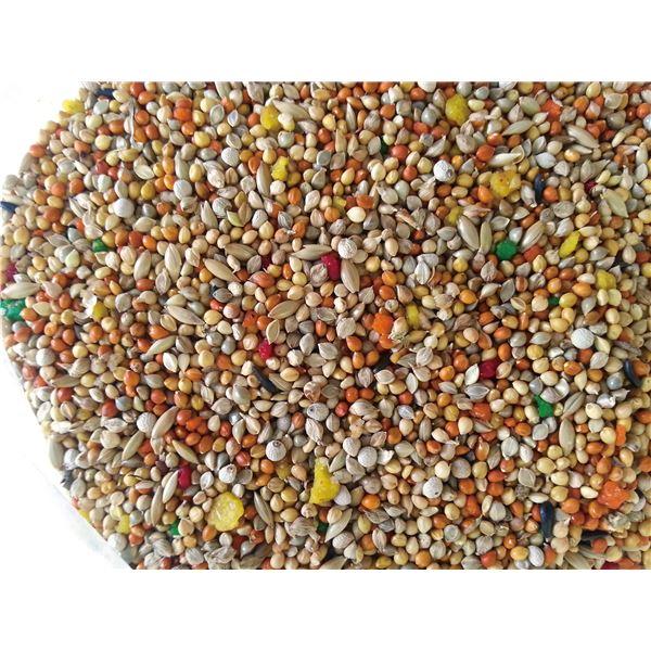 （まとめ） 毎日の果実5種ブレンド セキセイインコ用 1kg （ペット用品） 〔×3セット〕 |  | 01