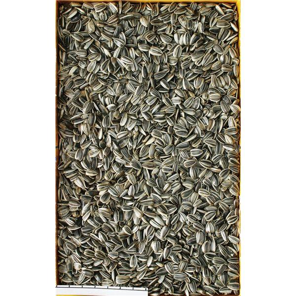 （まとめ） 小粒ひまわりの種 200g （ペット用品） 〔×10セット〕 |  | 01