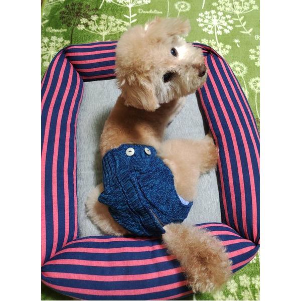 マナーおむつ用カバーパンツ M ブルー |  | 01