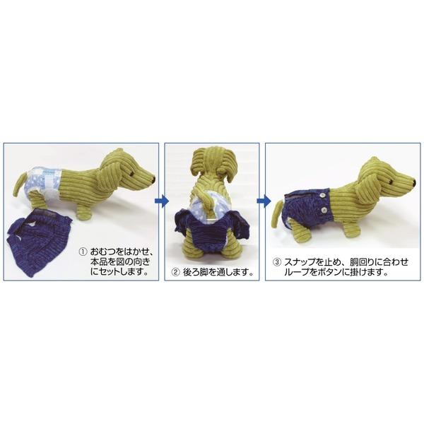 マナーおむつ用カバーパンツ M ブルー |  | 03