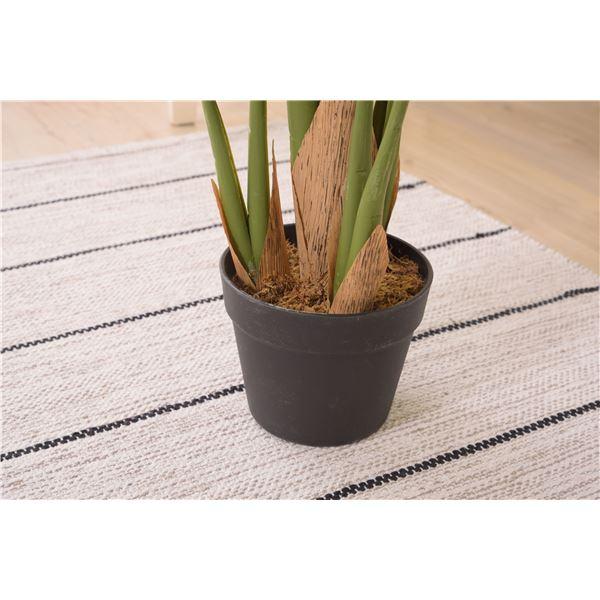 フェイクグリーン 観葉植物 モンステラ 約幅56×奥行56×高さ100cm リビング 店舗 ショップ インテリア雑貨 |  | 04