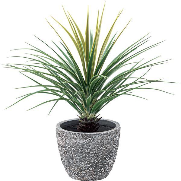 フェイクグリーン 観葉植物 ミニパイナップル 約幅61×奥行61×高さ67cm リビング 店舗 ショップ インテリア雑貨 |  | 01