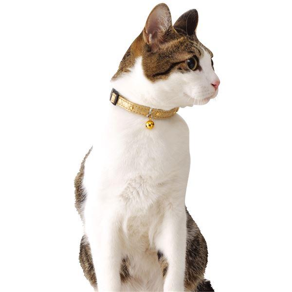 （まとめ）CAT COLLAR ゴージャスカラー ゴールド〔×3セット〕 (猫用品/首輪) |  | 01