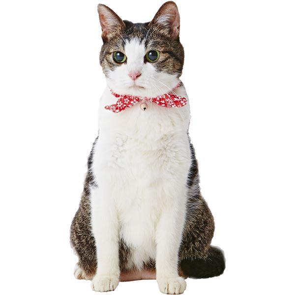 （まとめ）猫小町シュシュ 桜 レッド〔×3セット〕 (猫用品) |  | 01