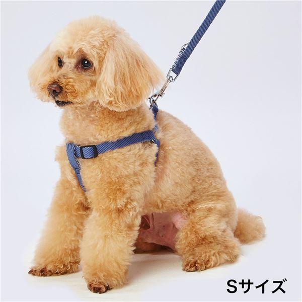 ソフトスキップハーネスM ブルー (犬用品/ハーネス) |  | 01