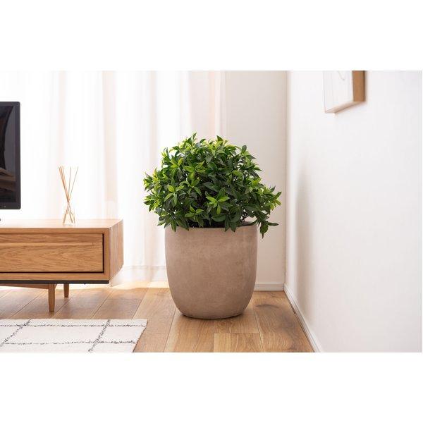 鉢カバー 植木鉢 約35cm ベージュ 底穴あり グリーンベース フラワーポット プランター 鉢 |  | 01