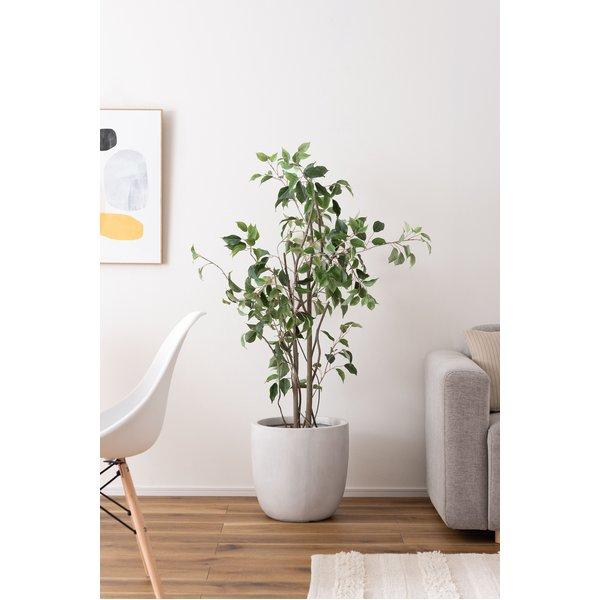 鉢カバー 植木鉢 約35cm ホワイト 底穴あり グリーンベース フラワーポット プランター 鉢 |  | 01