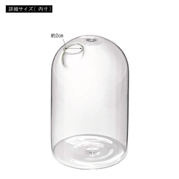 ガラスベース 約幅8×奥行8×高さ12.5cm クリア リビング ダイニング インテリア雑貨 インテリア用品 完成品 |  | 02