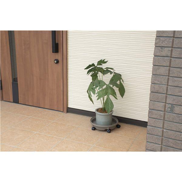 〔14台セット〕 まとめ売り 鉢受プレート 直径29cm モスブラウン キャスター付 移動便利 日本製 鉢皿 園芸用品 ガーデニング用品 |  | 02
