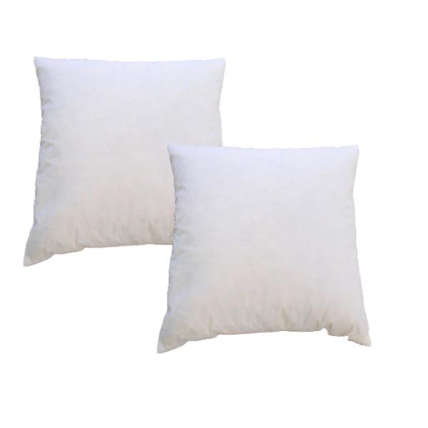 〔2個セット〕 シンプル 羽根クッション中材 〔ベージュ 幅40cm〕 正方形 スモールフェザー100％ 日本製 〔リビング 寝室〕 | 