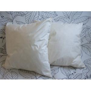 〔2個セット〕 シンプル 羽根クッション中材 〔ベージュ 幅40cm〕 正方形 スモールフェザー100％ 日本製 〔リビング 寝室〕 |  | 01
