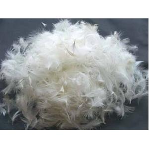 〔2個セット〕 シンプル 羽根クッション中材 〔ベージュ 幅40cm〕 正方形 スモールフェザー100％ 日本製 〔リビング 寝室〕 |  | 04