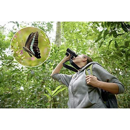 [大特価] OLYMPUS 双眼鏡 10X42 PRO 防水防曇 ダハプリズム式 10倍42口径 【XUR8433866555】(29782円)