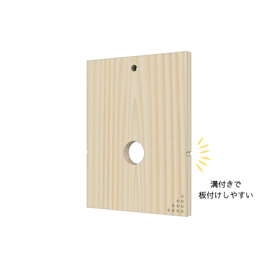 4枚セット】 ビカクシダ 板 15cm×20cm 板付け用 ボード コウモリラン