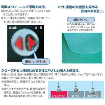AIREX(R) エアレックス マット フィットネスマット(波形パターン)　FITLINE180　フィットライン180 AML-480　C・チャコール_2