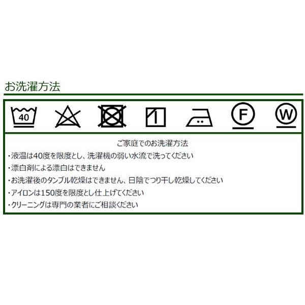 川島織物セルコン Morris Design Studio いちご泥棒 マルチカバー 200×270cm HV1710　B・ブルー
