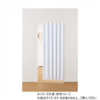 単式アコーデオンドア SJ2 幅100×高さ174　アクアライン_2
