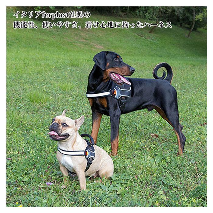 ファープラスト ヘラクレス 犬用ハーネス M ブルー 75468325の画像