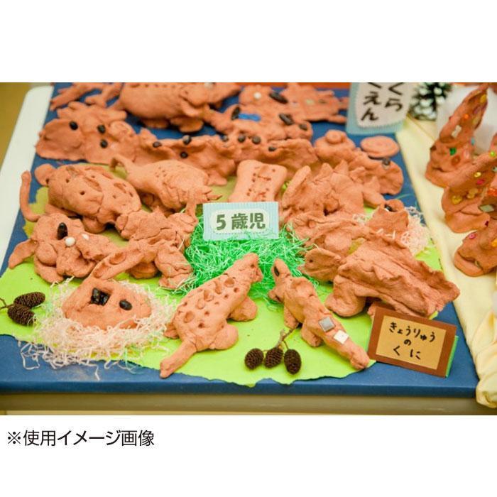 美濃粘土 ニューテラコッタ粘土 850g 10セット ついに再販開始 850g 10セット