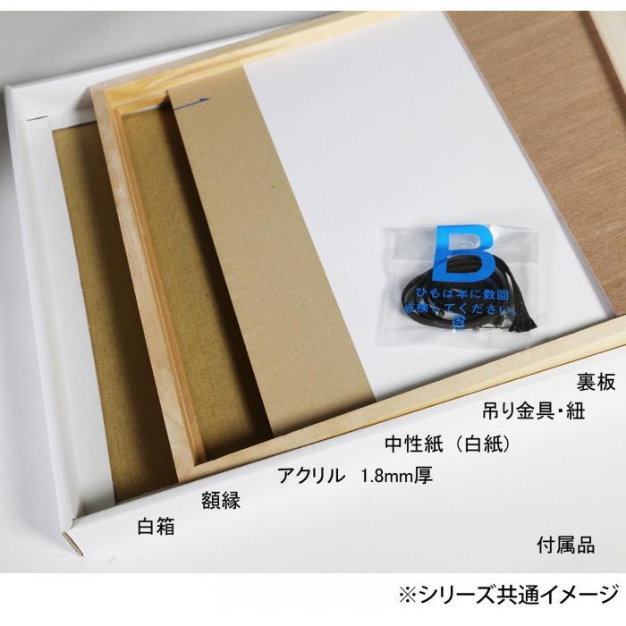デッサン額 木製フレーム 桜平型 ホワイト 小全紙660×508 アクリル