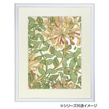 デッサン額 木製フレーム 桜カマボコ ホワイト 小全紙660×508 アクリル