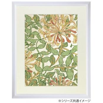水彩・デッサン額縁大衣判4枚セット（桜カマボコ）ホワイトシンプルフレーム デッサン額 木製フレーム 桜三角 ホワイト A3 421×298 アクリル