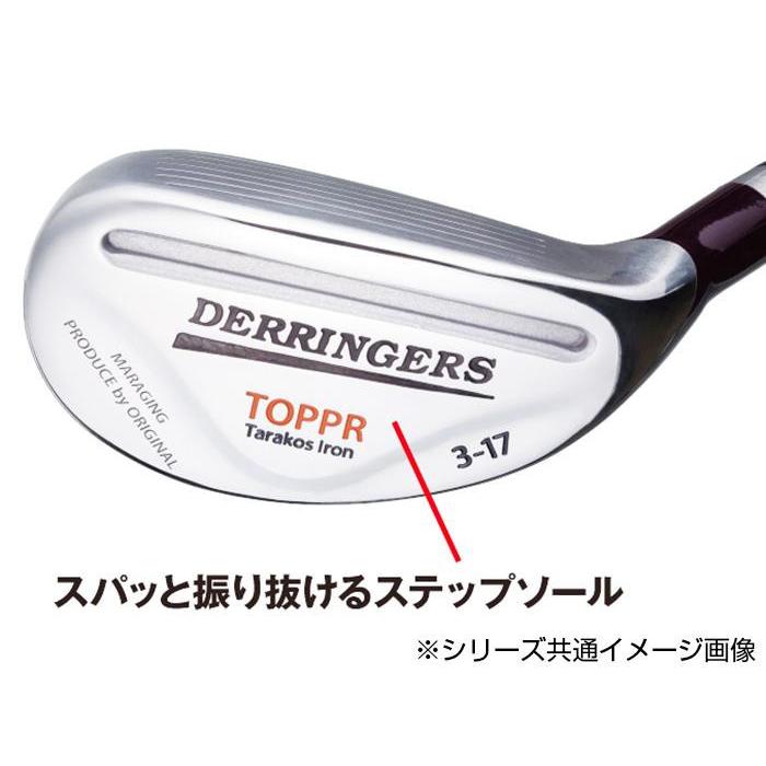 デリンジャートッパ(突破)タラコアイアン 6番 シャフト硬度SR DTT-06