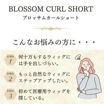 お値下げ プリシラ BEAUTE 総手植えオールウィッグ ブロッサムカールショート 人毛ミックス グレイヘア BA-100-ZGH 【CEG6767829859】(23899円)
