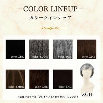 お値下げ プリシラ BEAUTE 総手植えオールウィッグ ブロッサムカールショート 人毛ミックス グレイヘア BA-100-ZGH 【CEG6767829859】(23899円)