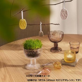 A） Iittala イッタラ ミランダ ボウル 145mm セビリアオレンジ 