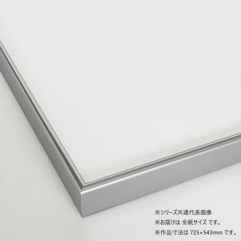 大仙 デッサン額 8354 シルバー 全紙A入 32D360N51S0の画像