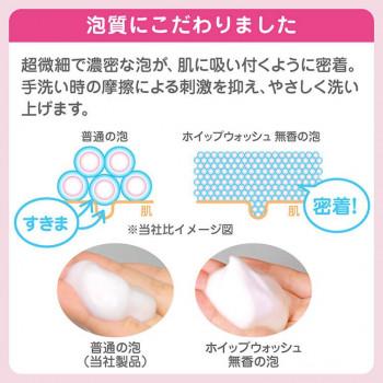 サラヤ 手洗い用石鹸 ホイップウォッシュ無香 5kg 23453 : ハンディ