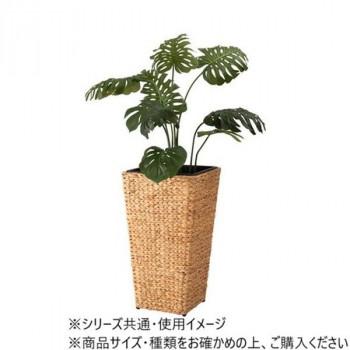 東谷 プランター角ハイタイプ  GRNB-53Lの画像