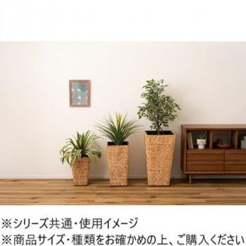 東谷 プランター角ハイタイプ  GRNB-53Lの画像
