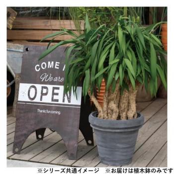 グリーンポット 植木鉢 ボルドー テラコッタ40cm TP-TM40TCの画像