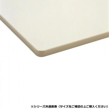 藤沢工業(TOKIO) ミーティングテーブル TDWS-1260TK ニューグレーの画像