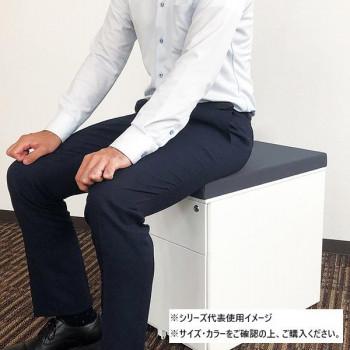 井上金庫販売 オフィス用 2段ワゴン ダークグレー SLWシリーズ SLW-2 DG_2